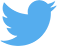 kindle on twitter